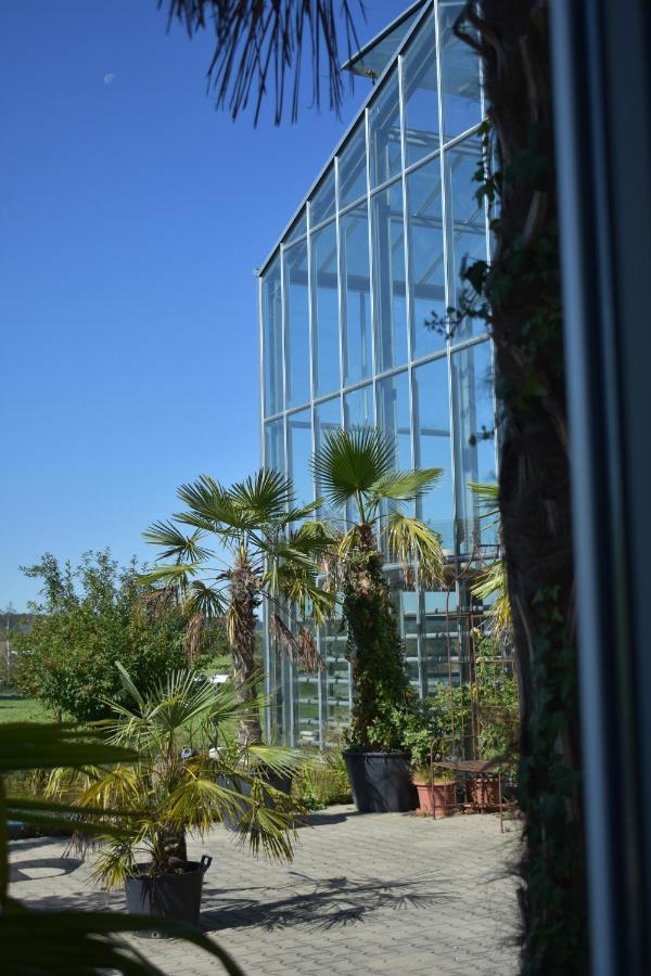 Palmengarten Finning Extérieur photo