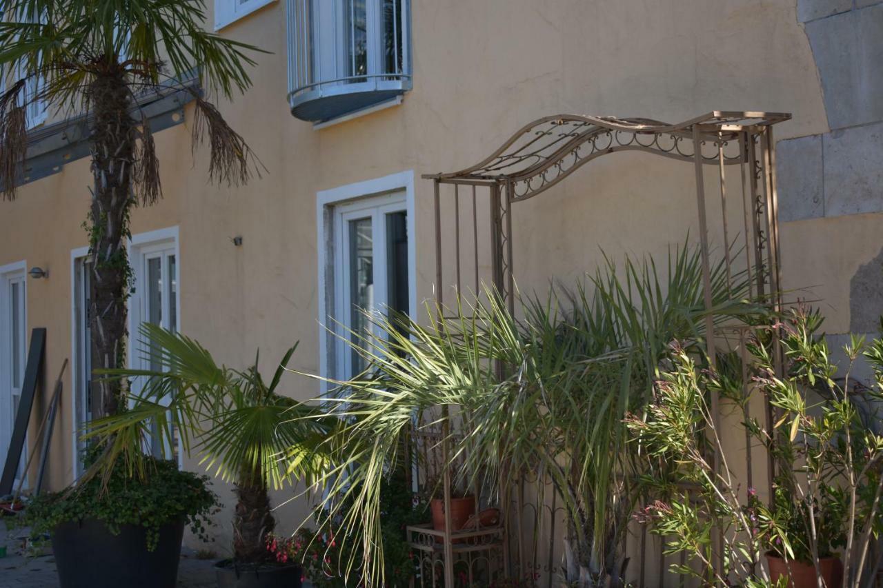 Palmengarten Finning Extérieur photo