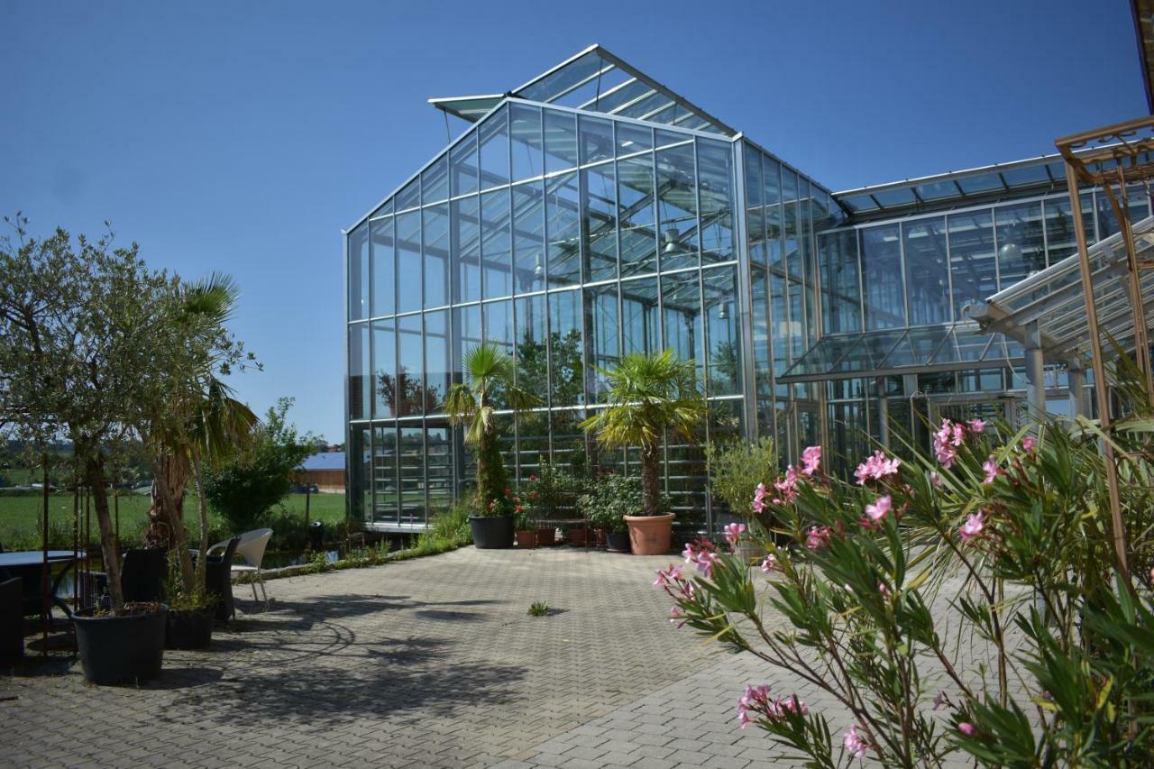 Palmengarten Finning Extérieur photo